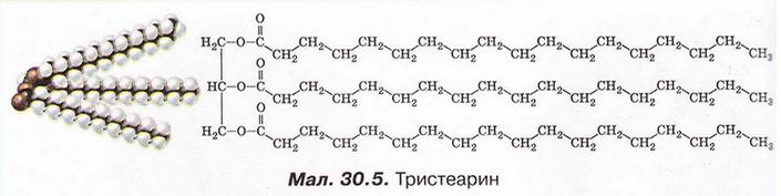 Файл:Chemistry 206.jpg