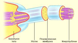 Bio8 10 6.jpg