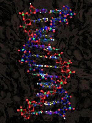 Клітини ДНК