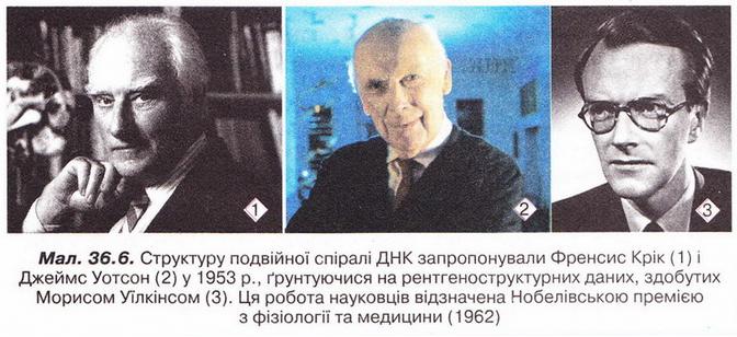 Файл:Chemistry 241 1.jpg