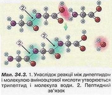 Chemistry 228 31.jpg