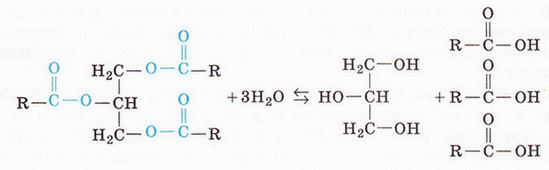Файл:Chemistry 208.jpg