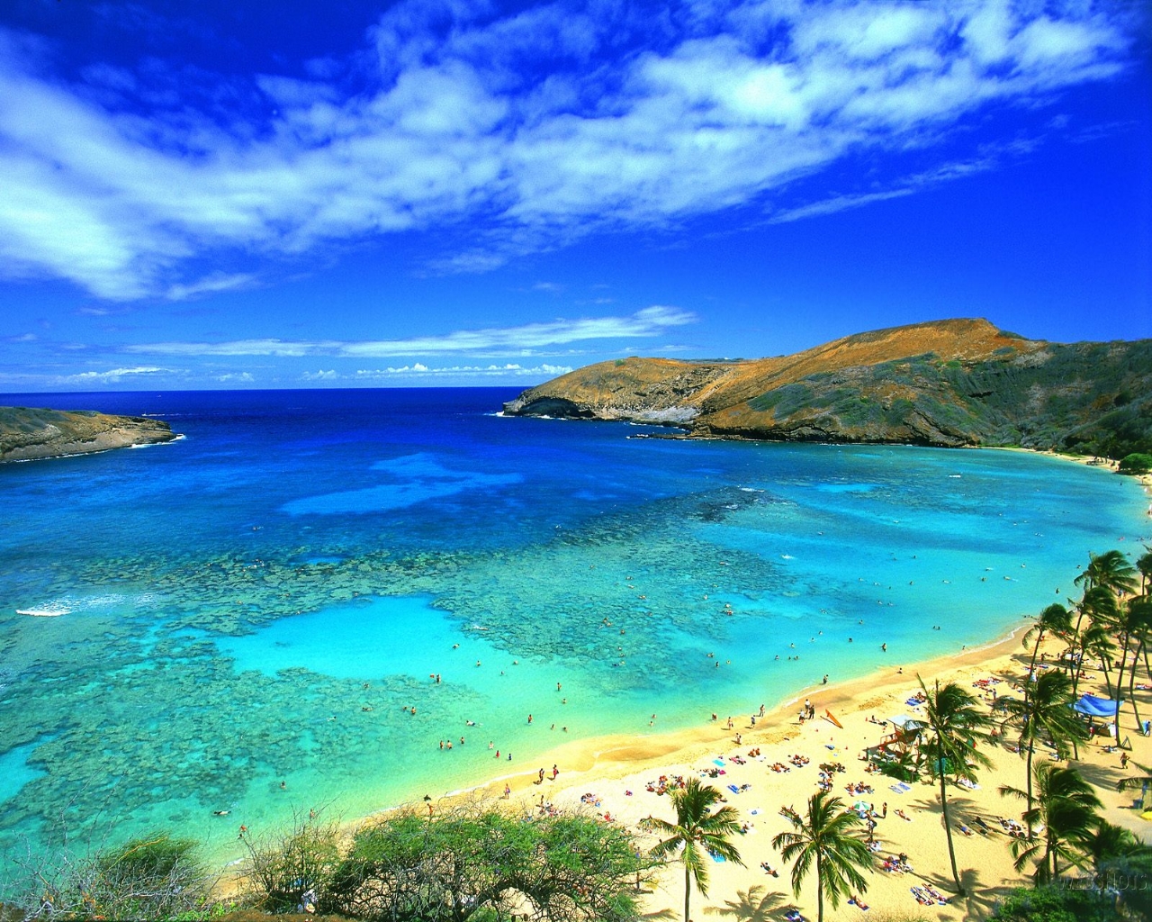 Гавайські острови