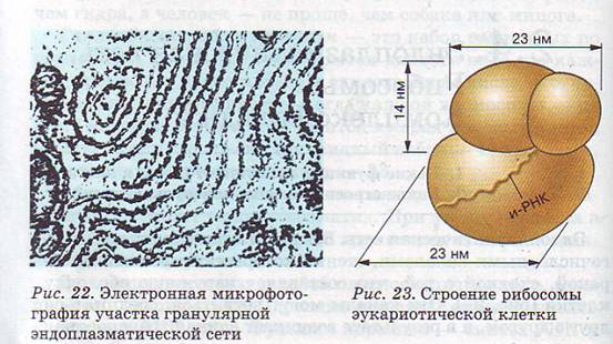 Ответы партнер1.рф: (не могу(((((((((