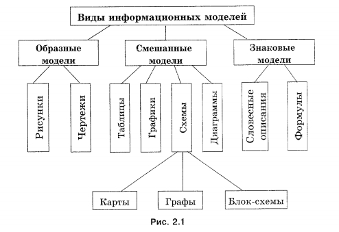 Виды информационных моделей