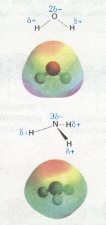 Полярні молекули води та амоніаку. фото