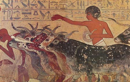 Пастух. 1580-1314 гг. до н.э. Фрагмент росписи гробницы из Фив