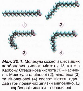 Файл:Chemistry 204.jpg