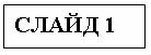 Слайд 1.jpg