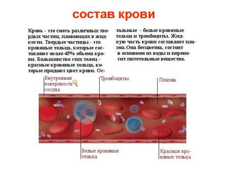 Склад крові