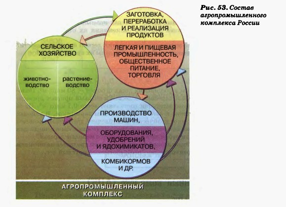 Состав агропромышленного комплекса России