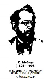 1001-20.jpg
