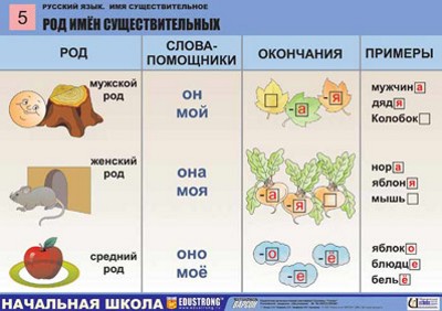 Самостоятельные и служебные части речи