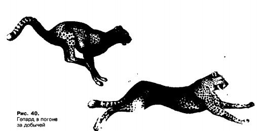 0901-33.jpg