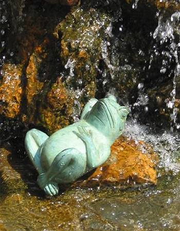 Жаба у фонтані.