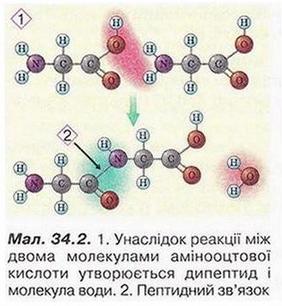Chemistry 228 2.jpg