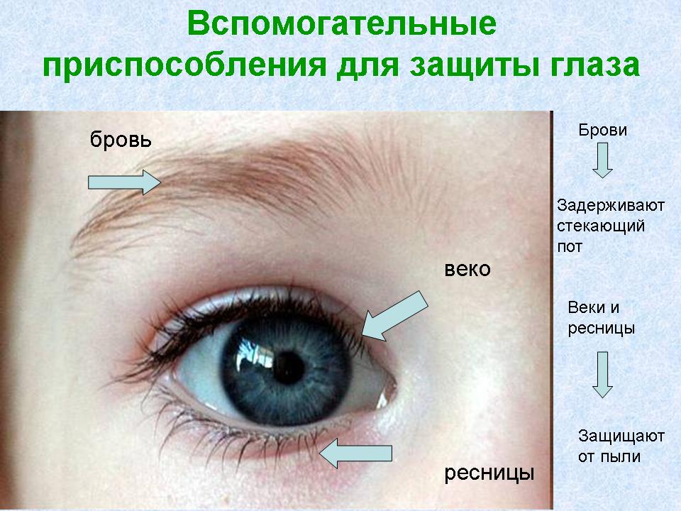 защитные приспособления глаза. фото