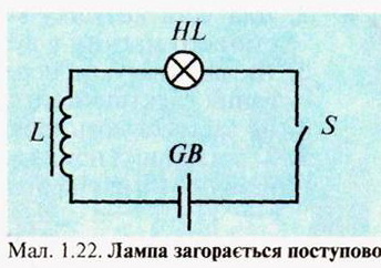 566.jpg