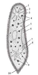 Bio8 11 3(1).jpg