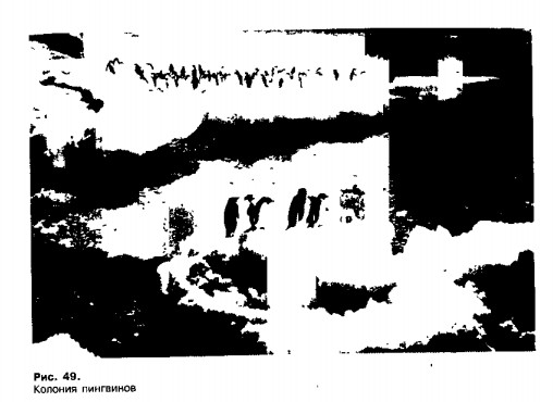 0901-44.jpg