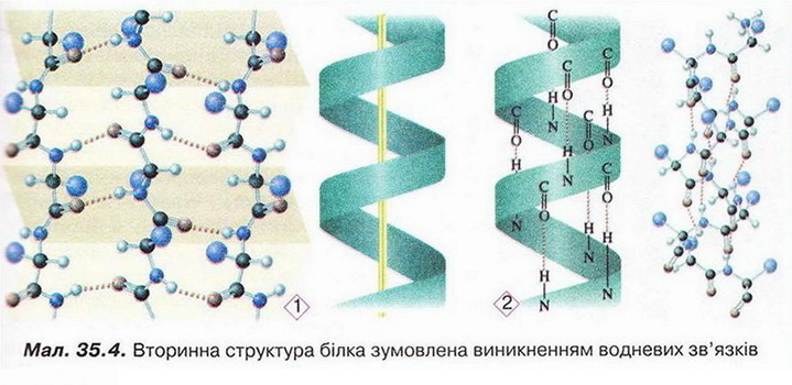Chemistry 233.jpg