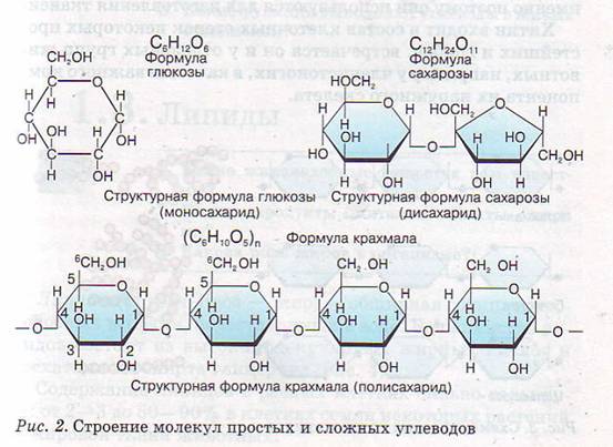 Строение молекул углеводов