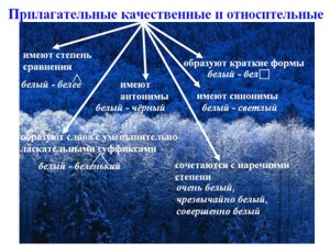 6 Имена прилагательные: грамматические категории и разряды