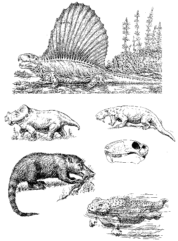 Палеозойские рептилии