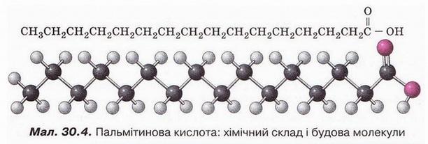 Файл:Chemistry 205 1.jpg