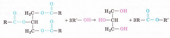 Файл:Chemistry 206 2.jpg