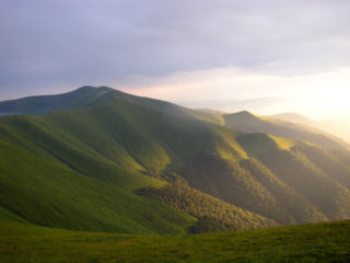 Альпійські луки