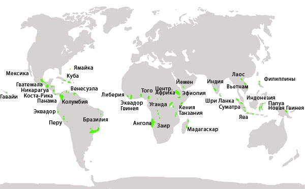 Карта країн-виробників кави