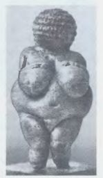 Богиня-мать. («Венера из Виллендорфа»). Палеолит. Eстественно-исторический музей. Вена