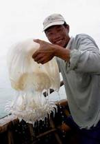 Ловля медуз для їжи.