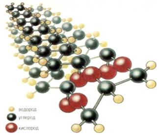Структура молекули ліпідів (кисень, вуглець, водень)