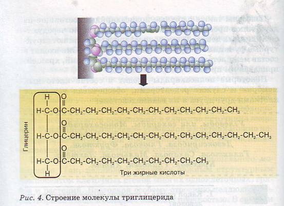 Строение молекулы