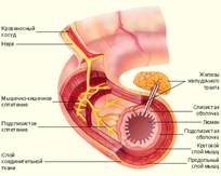 Bio8 5 5.jpg