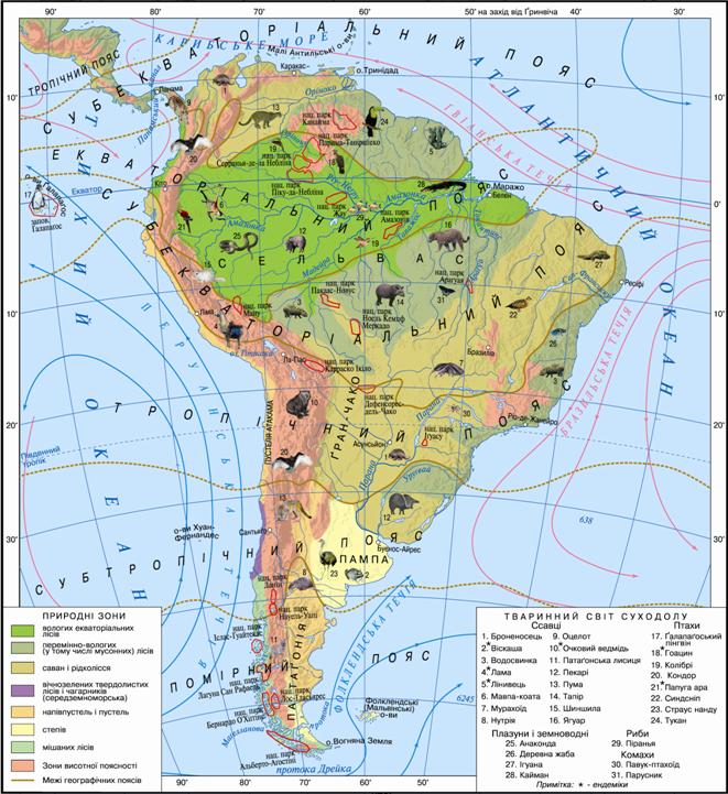 Природні зони Південної Америки