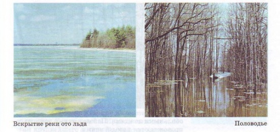 Вскрытие реки ото льда. Половодье