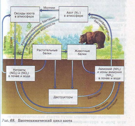 epub confabulation theory